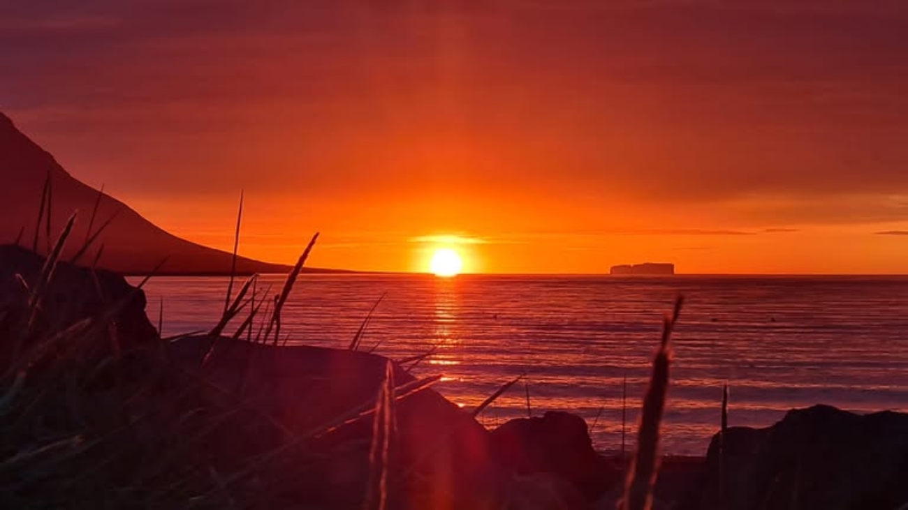 576650462_1256107126558202_2324673864852598667_n